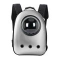 Mochila transportín para gatos y perros pequeños, plateada