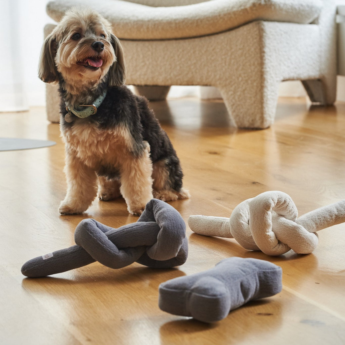 Juguete de nudo de algodón para perros