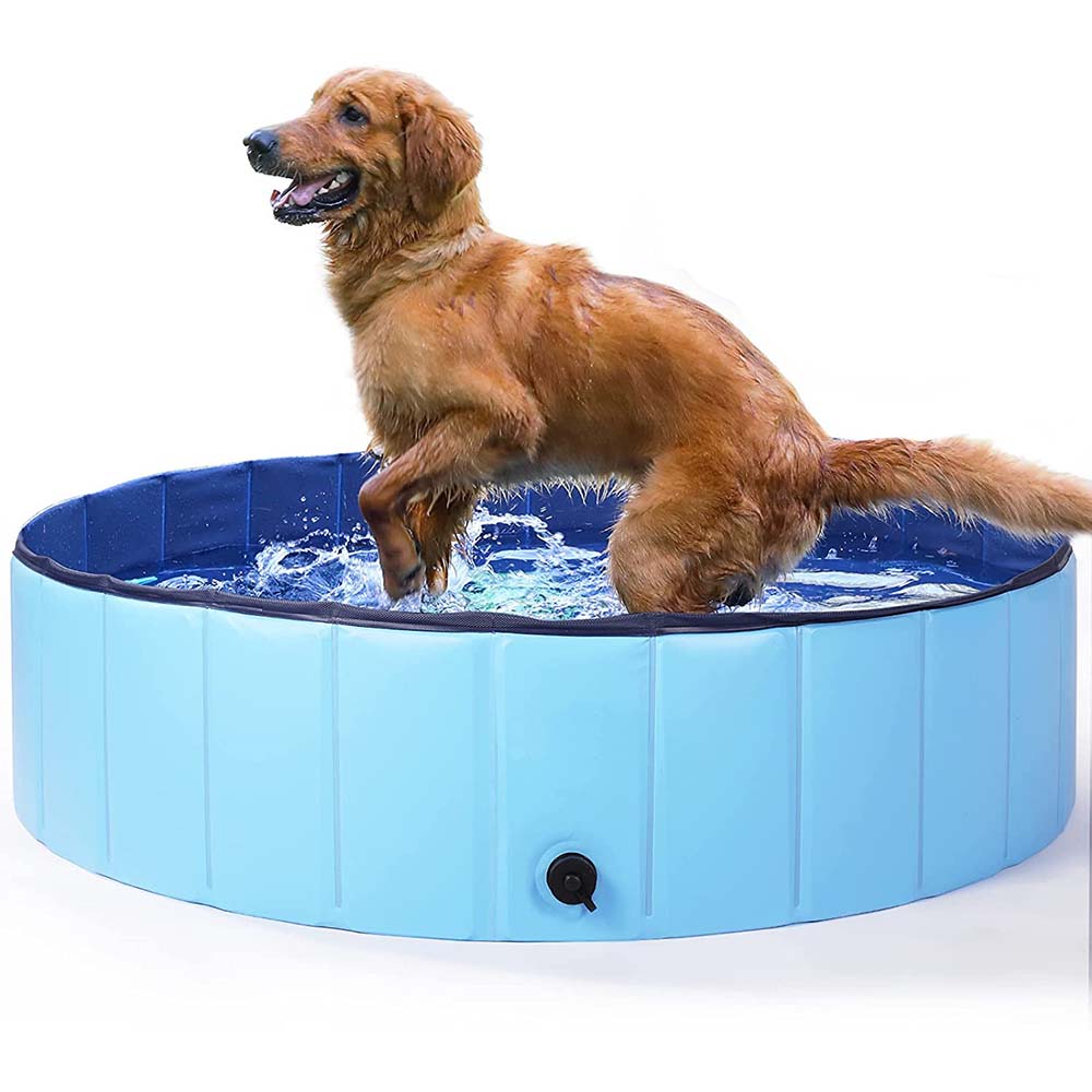 Piscina plegable para perros, sin inflar, foto 3 de 5