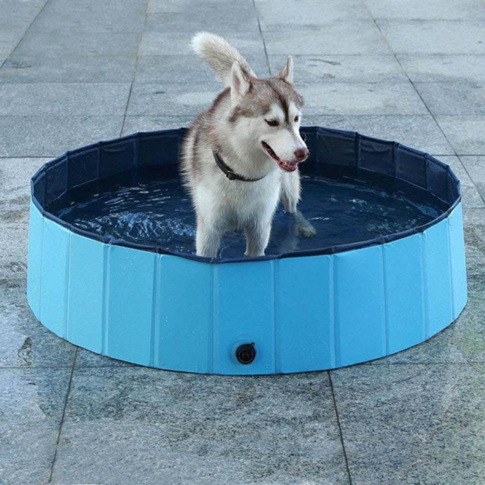 Piscina plegable para perros, sin inflar, foto 5 de 5