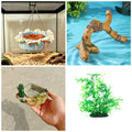 Pack decoración de terrario: hamaca colgante, rama, bebedero cactus y planta