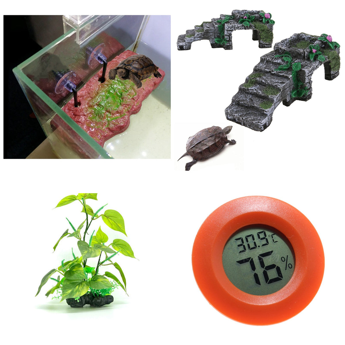 Pack acuaterrario para tortugas: plataforma, rampa, planta y termohigrómetro