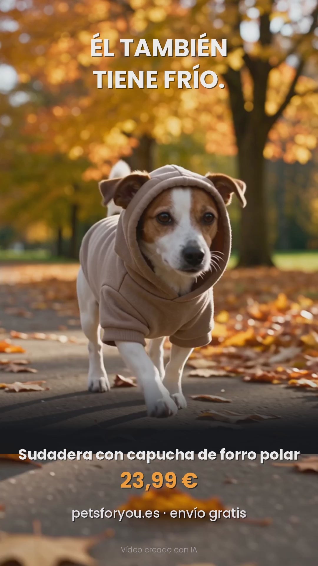 Perro con sudadera de forro polar con capucha en un paseo de otoño