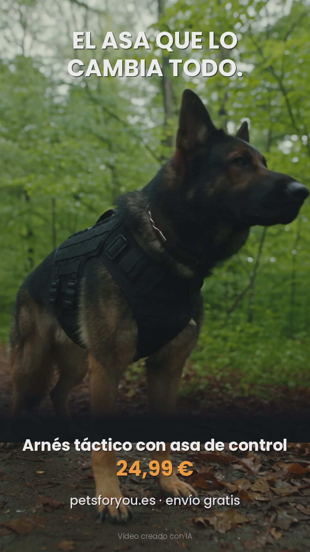 Arnés táctico ligero de nylon para perros medianos y grandes, vídeo del producto