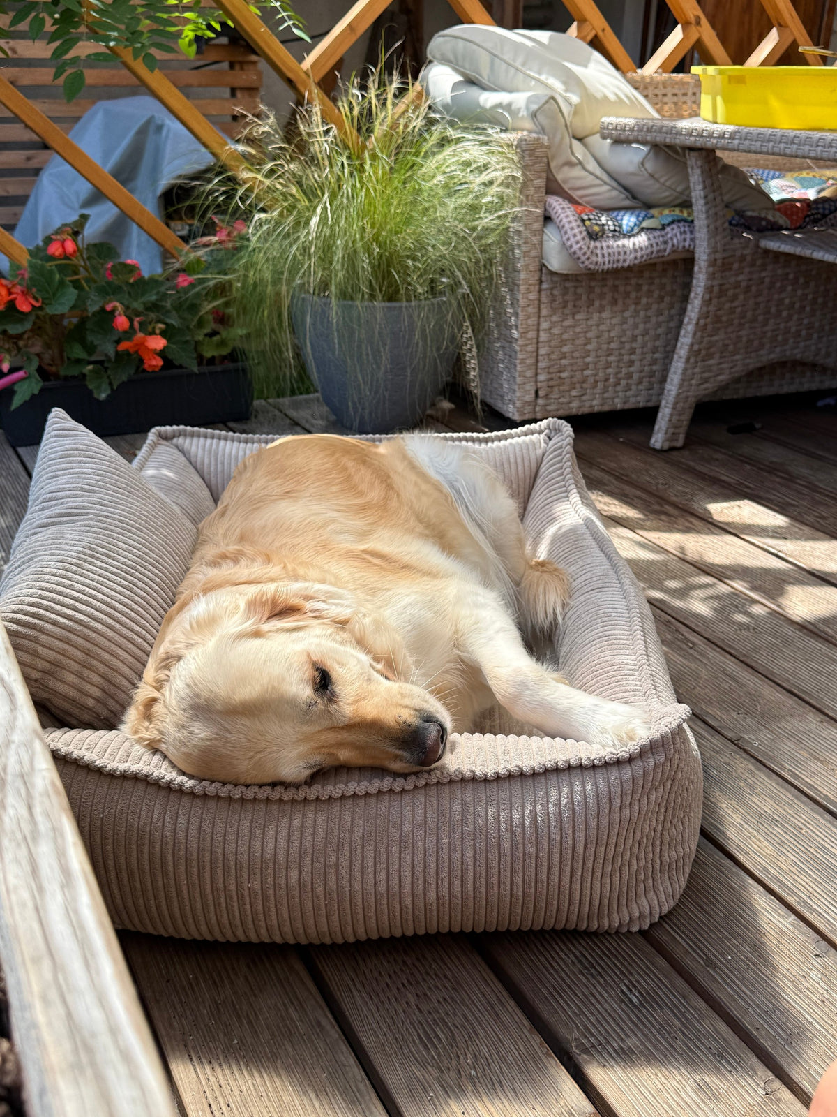 Lodie Corduroy Dog Sofa with Removable Cover – Grey, M