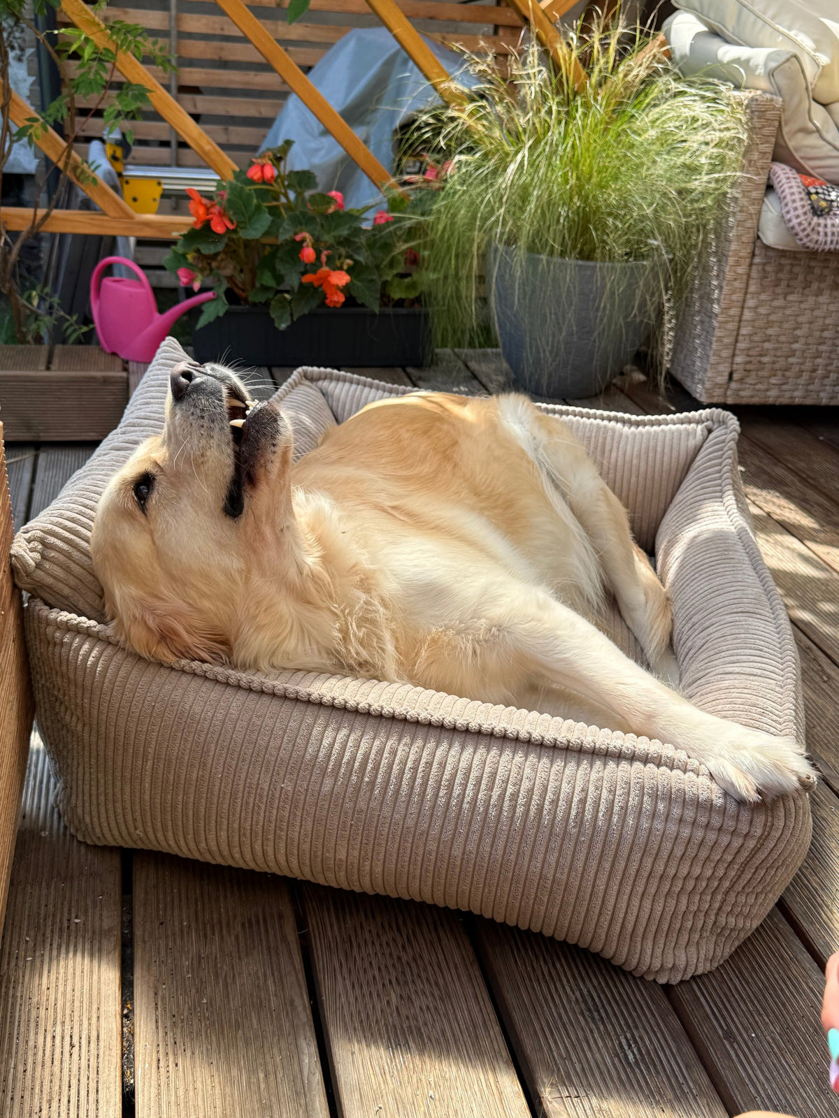 Lodie Corduroy Dog Sofa with Removable Cover – Grey, M