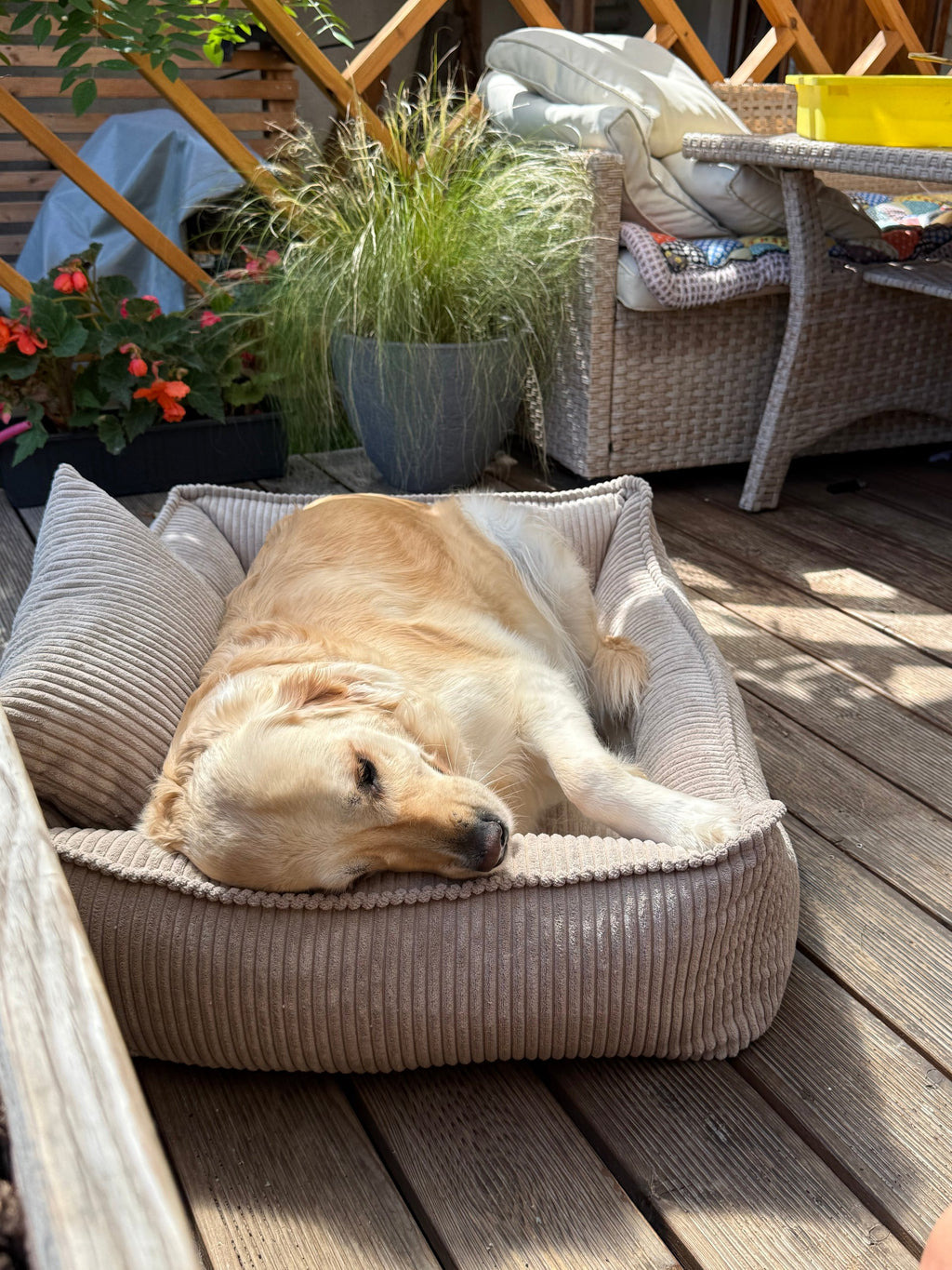 Lodie Corduroy Memory Foam Dog Sofa – Grey, S