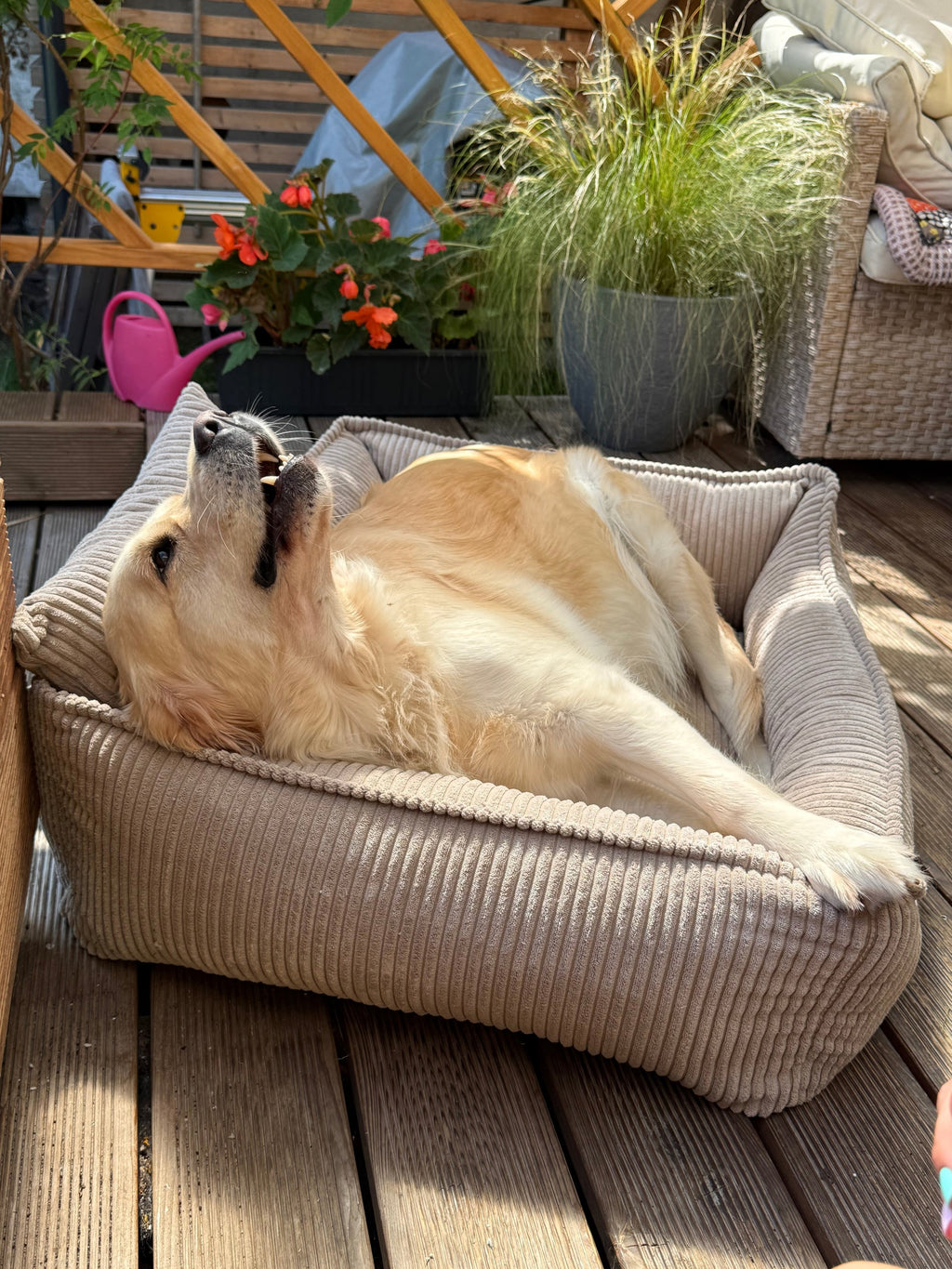 Lodie Corduroy Memory Foam Dog Sofa – Grey, S