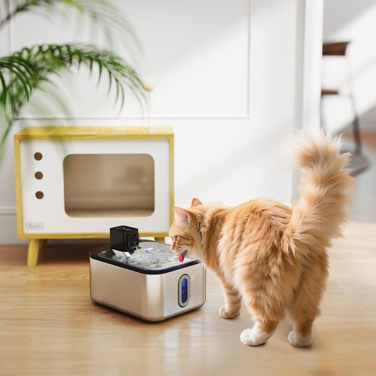 Fuente de agua automática para gatos de acero inoxidable 5 l