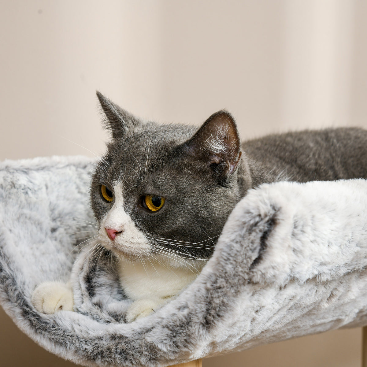Árbol rascador para gatos con dos nichos y cojín lavable