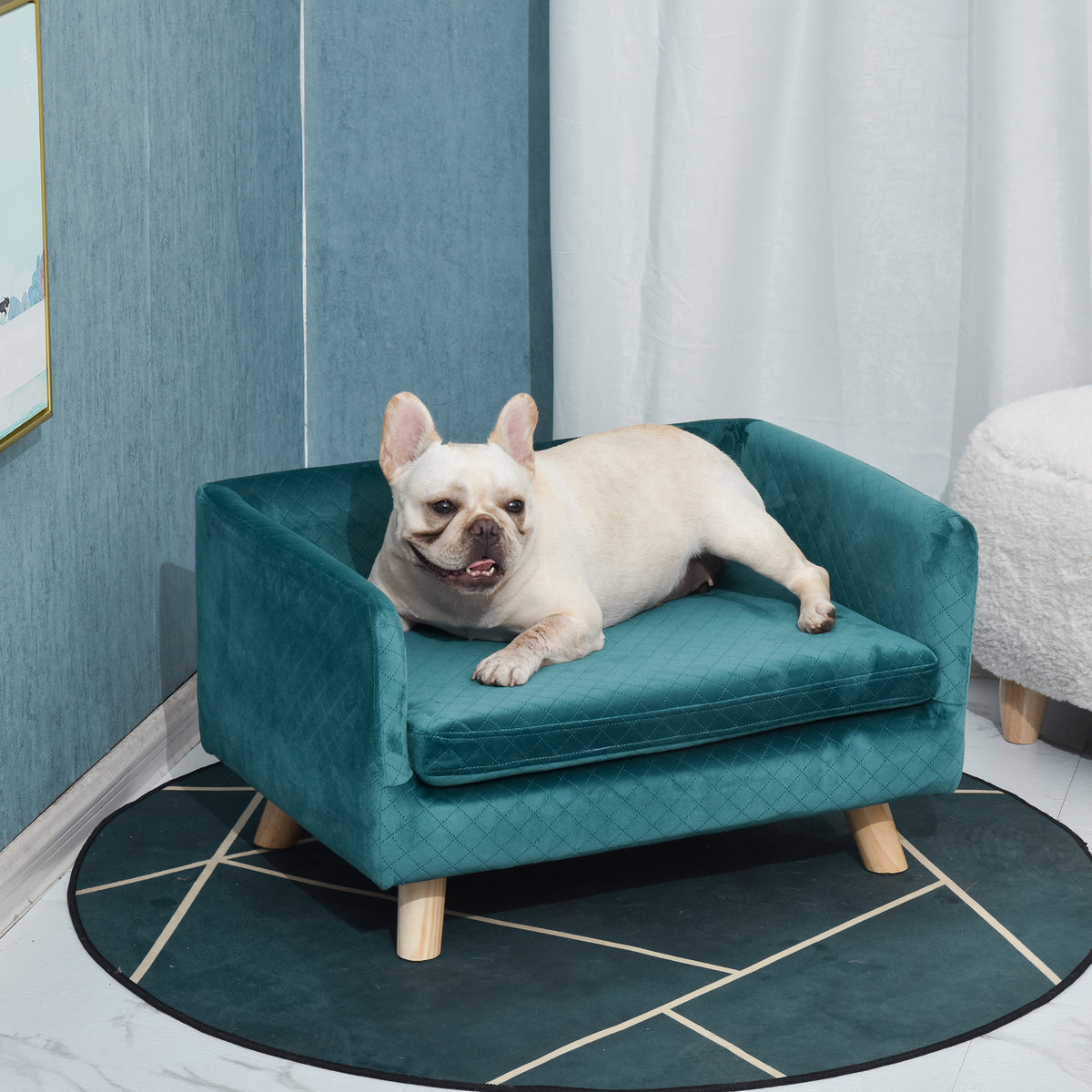 Sofá de terciopelo para perros pequeños con patas de madera, azul verdoso