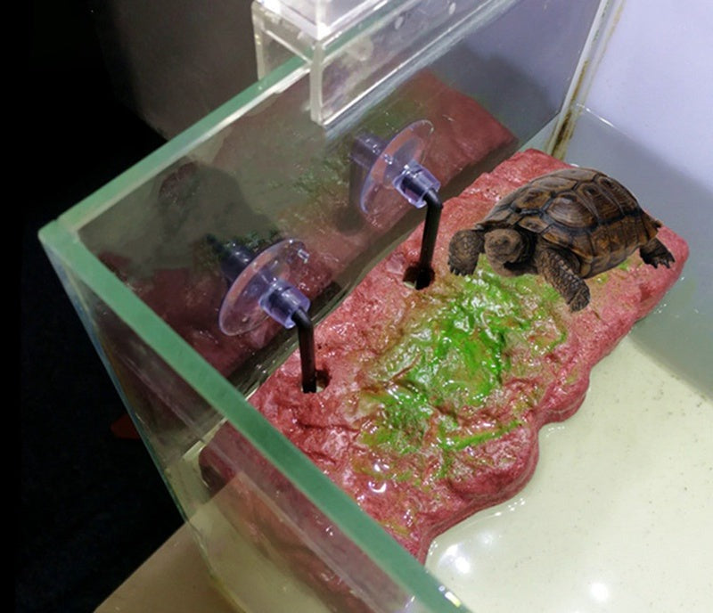 Plataforma flotante para tortugas