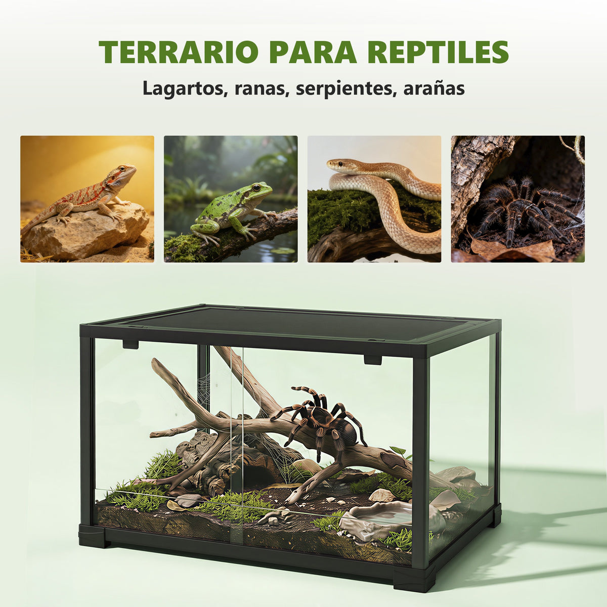 Terrario de cristal de 86 L