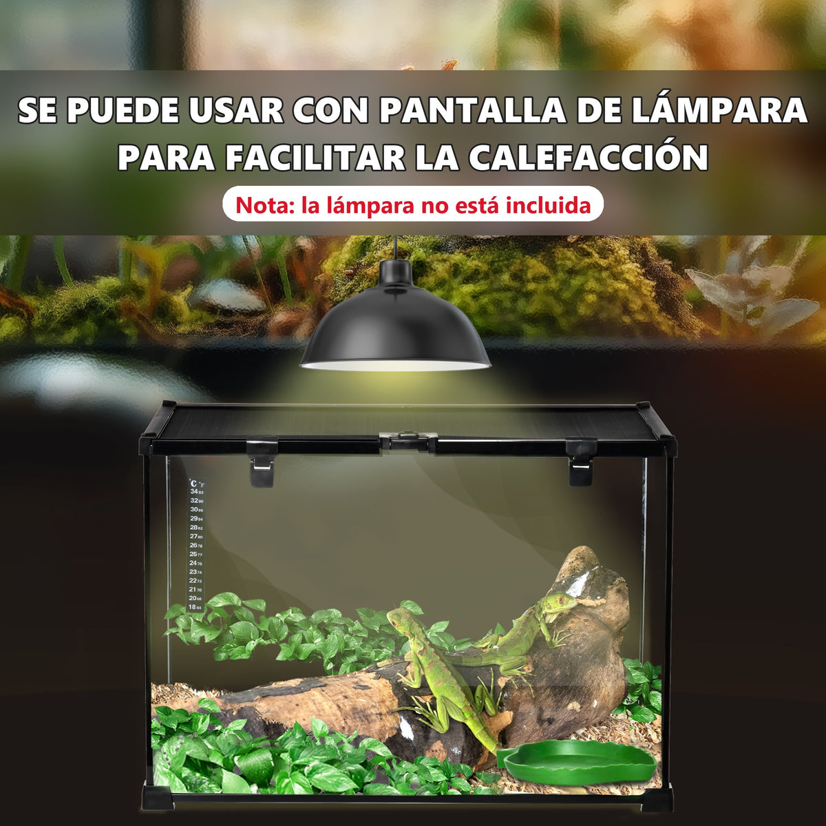 Terrario de cristal apilable con termómetro