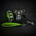 Set Bestia Bijou de cuero verde para perros, de S · cuello 35–42,5 cm a XL · cuello 57,5–65 cm