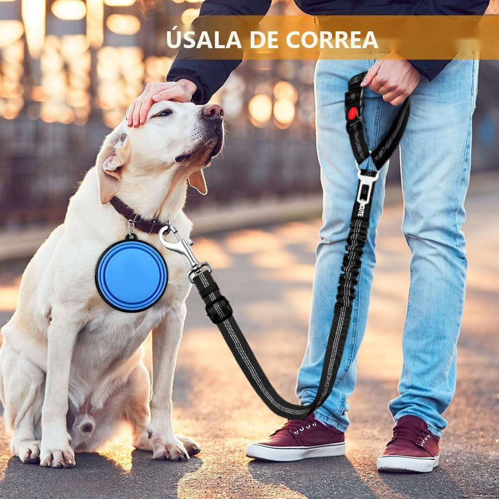 Correa extensible reflectante con cinturón de seguridad para coche - foto 3