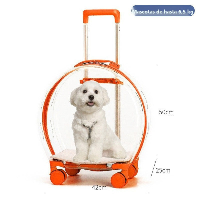 Transportín mochila transparente con ruedas para perros y gatos - foto 27