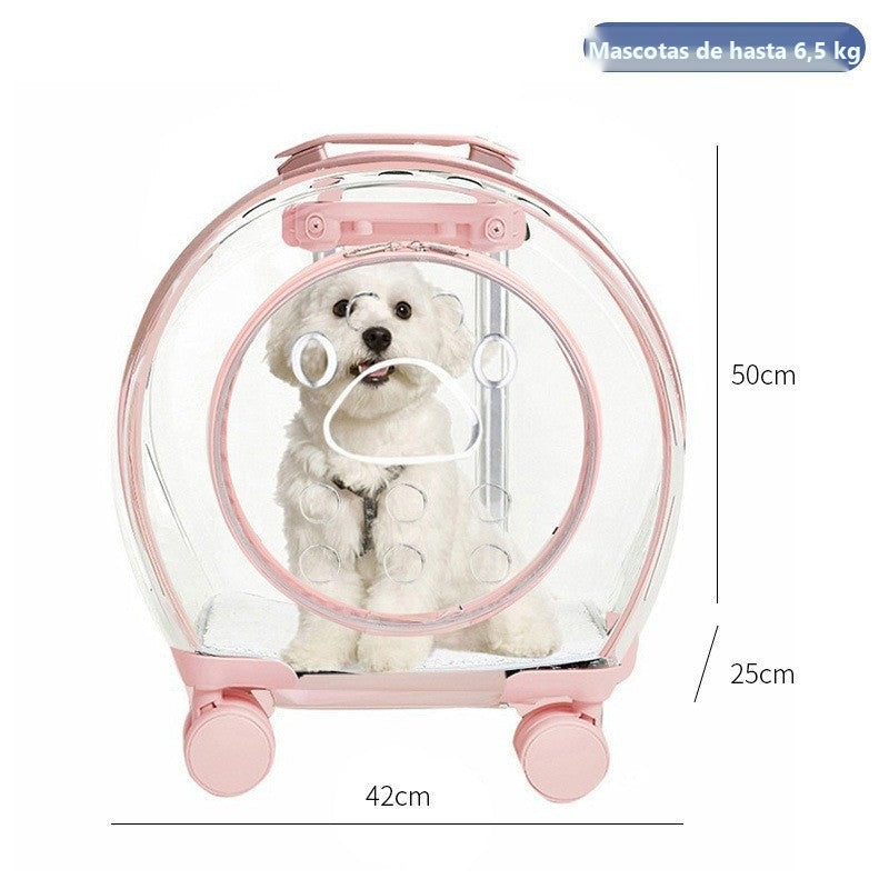 Transportín mochila transparente con ruedas para perros y gatos - foto 29