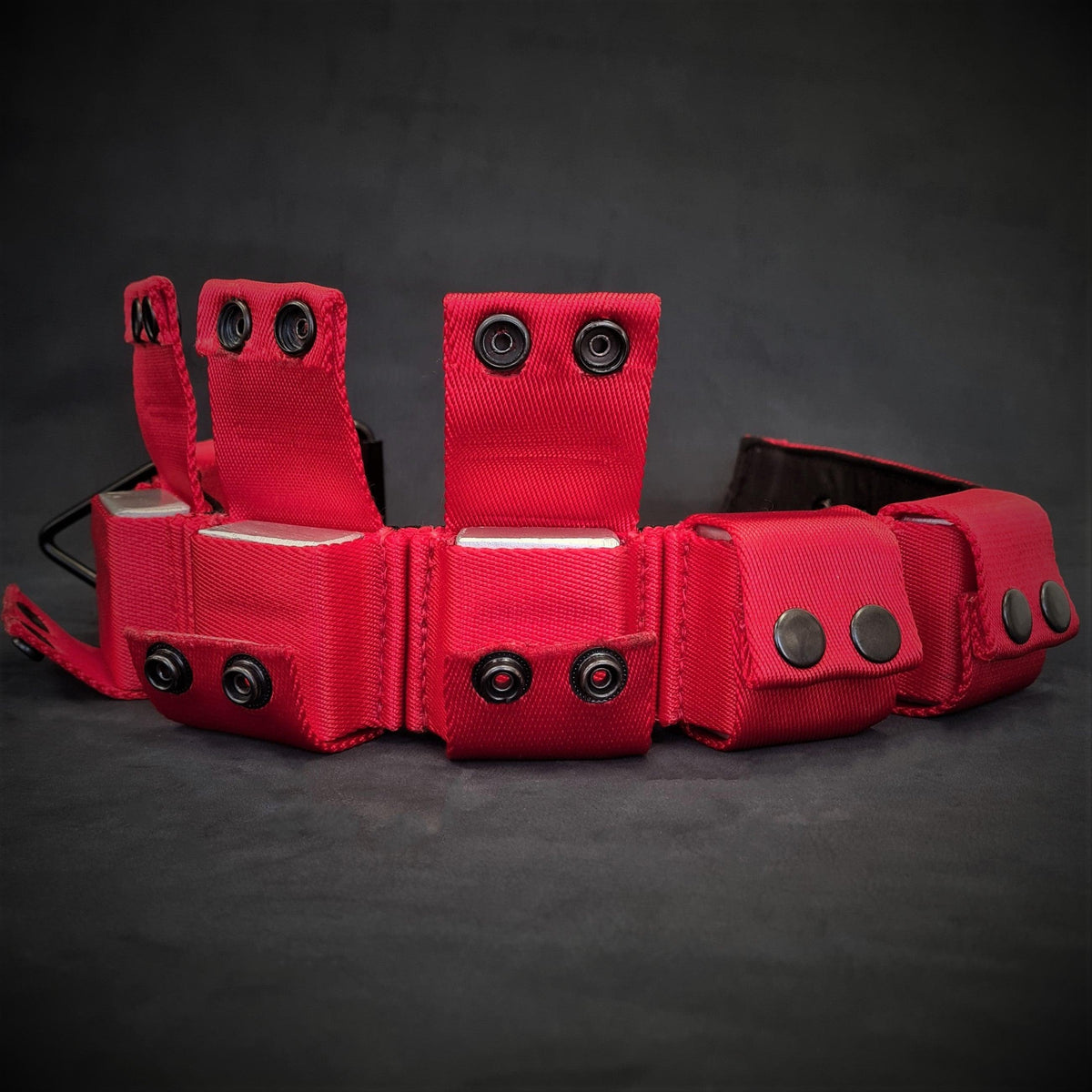 Collar Bestia lastrado 2,3 kg para adiestramiento de razas grandes, foto 4 de 4
