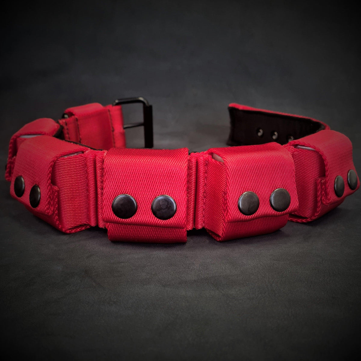 Collar Bestia lastrado 2,3 kg para adiestramiento de razas grandes, foto 3 de 4