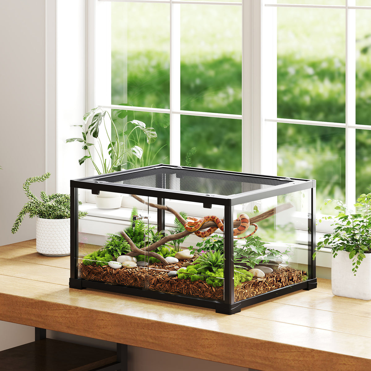 Terrario de cristal de 86 L