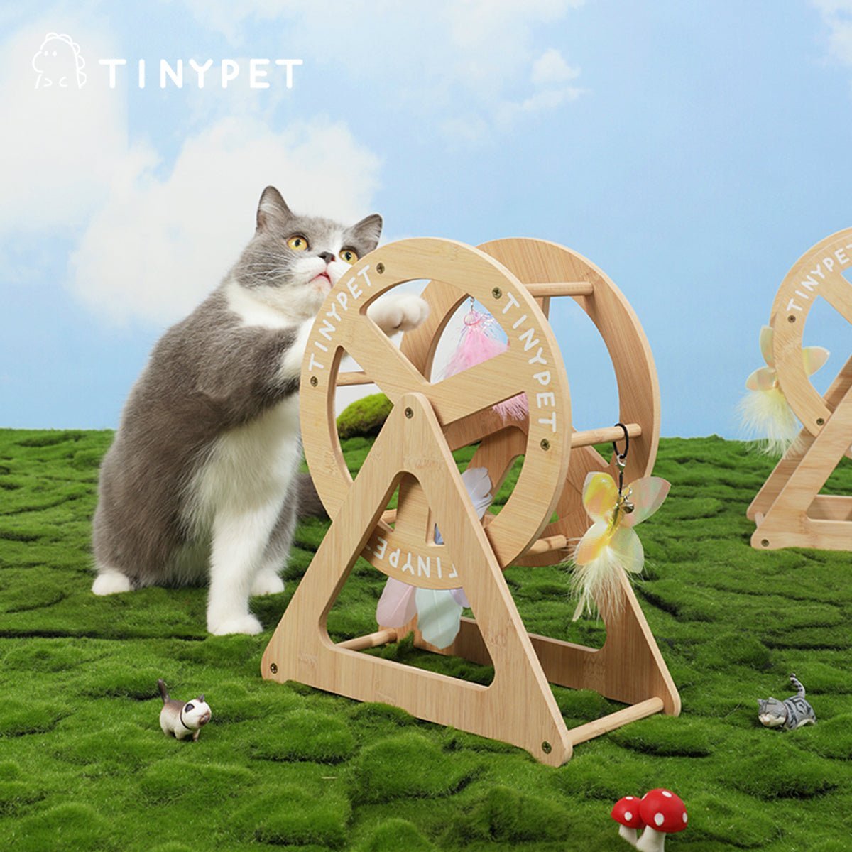 Tiny Pet Wonder Wheel: rueda de bambú para gatos, foto 2 de 5
