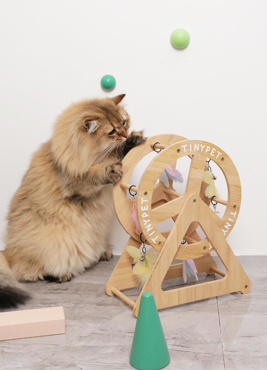 Tiny Pet Wonder Wheel: rueda de bambú para gatos, foto 4 de 5