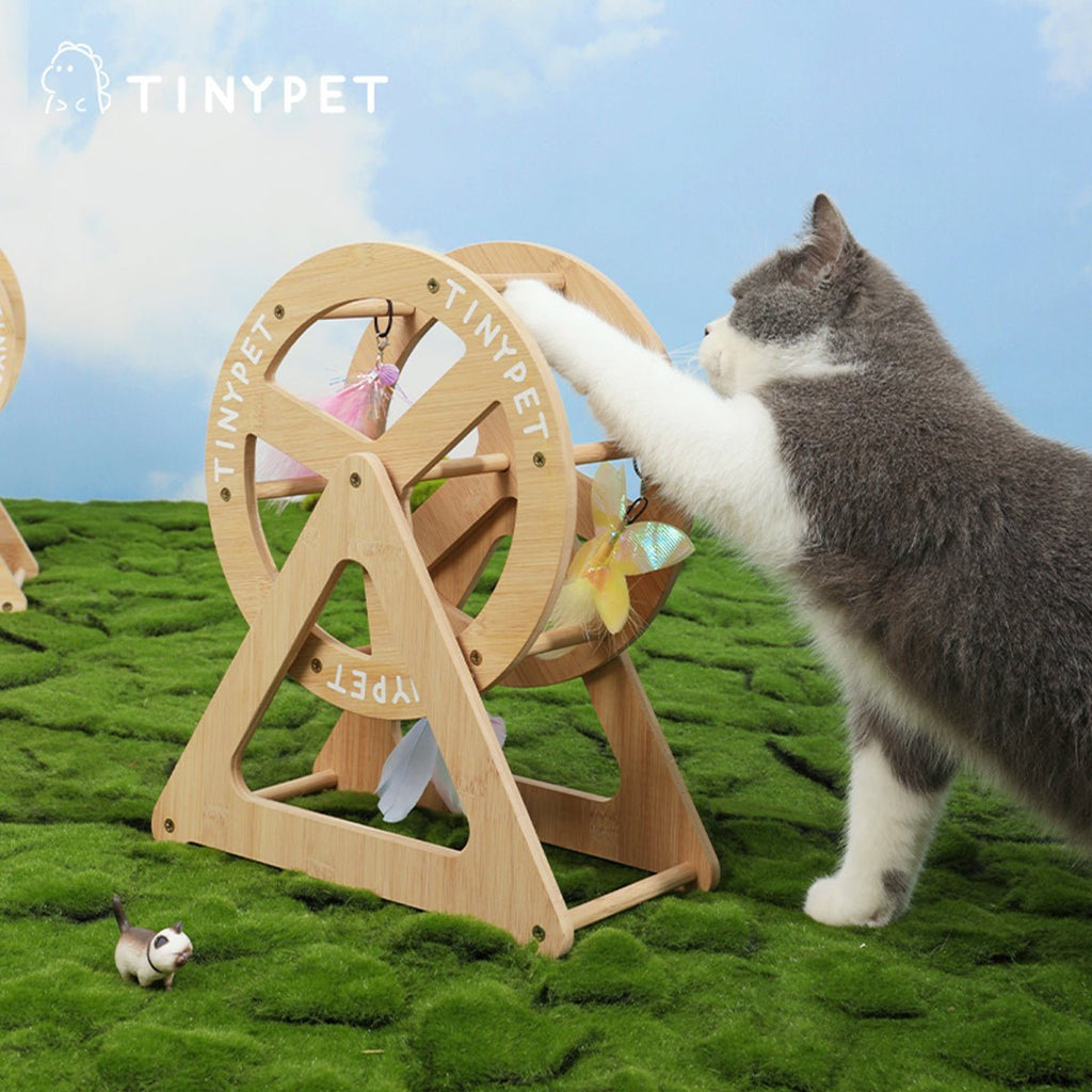 Tiny Pet Wonder Wheel: rueda de bambú para gatos, foto 3 de 5