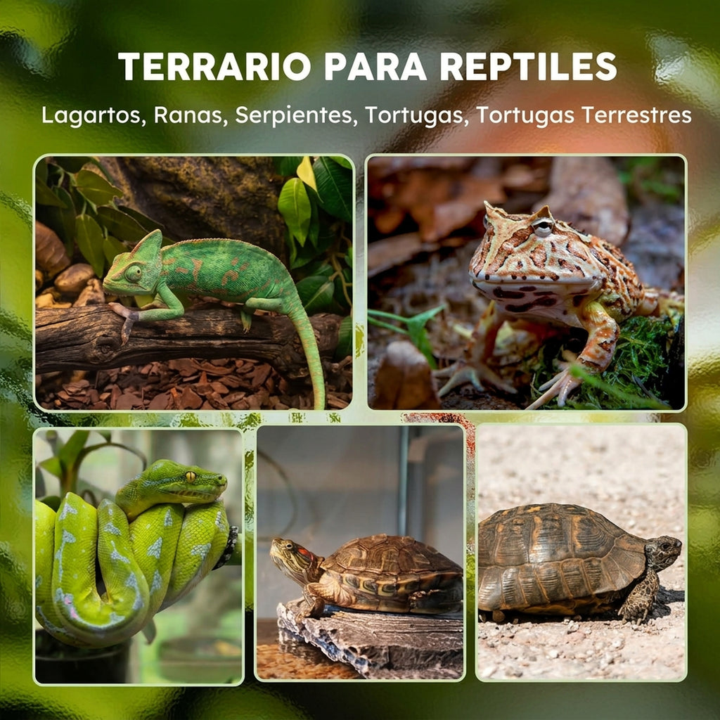 Terrario de cristal de 48 L