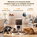 Comedero automático para gatos de 6 l con doble cuenco y WiFi
